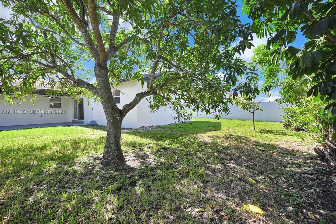 Private backyard featuring a sprawling lawn, mature trees, a concrete patio, and a perimeter masonry wall