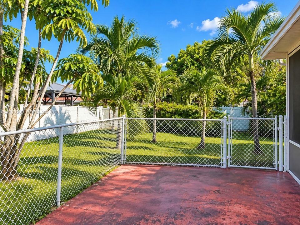 Rear patio featuring a painted concrete surface, white chain-link fencing, a gated enclosure, and palm trees