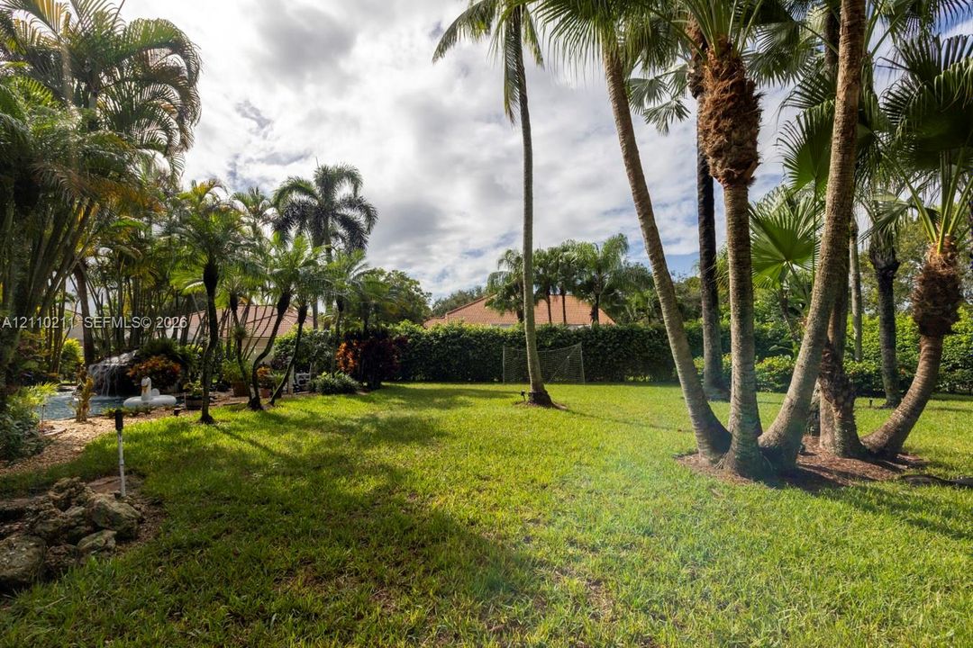 Expansive backyard featuring a lush lawn, mature palm trees, rock landscaping, and a water feature
