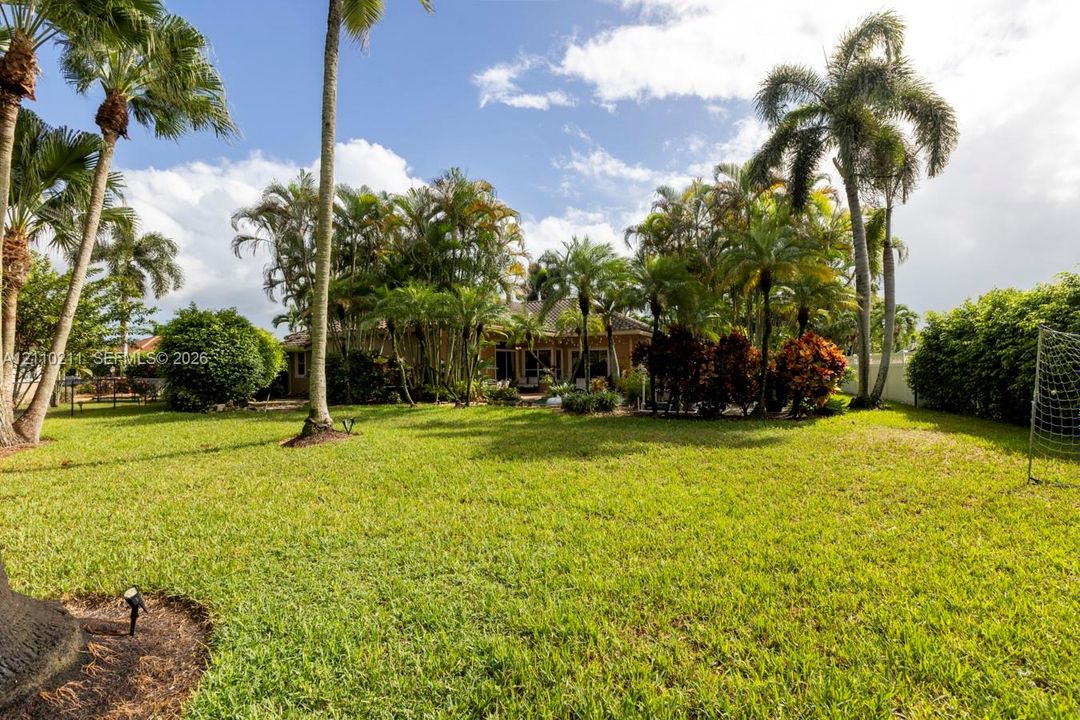 Expansive backyard featuring a large grass lawn, mature palm trees, perimeter shrubbery, and a solid fence enclosure