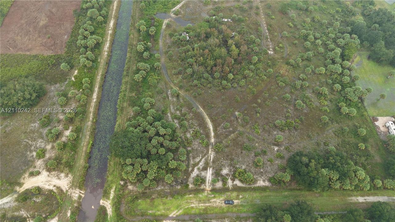 Expansive acreage featuring mature tree clusters, native vegetation, and a bordering waterway