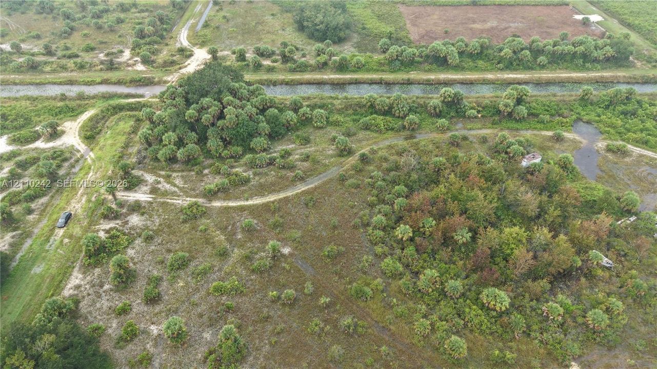 Expansive rural acreage featuring dense clusters of native trees, open scrubland, unimproved dirt paths, and water frontage
