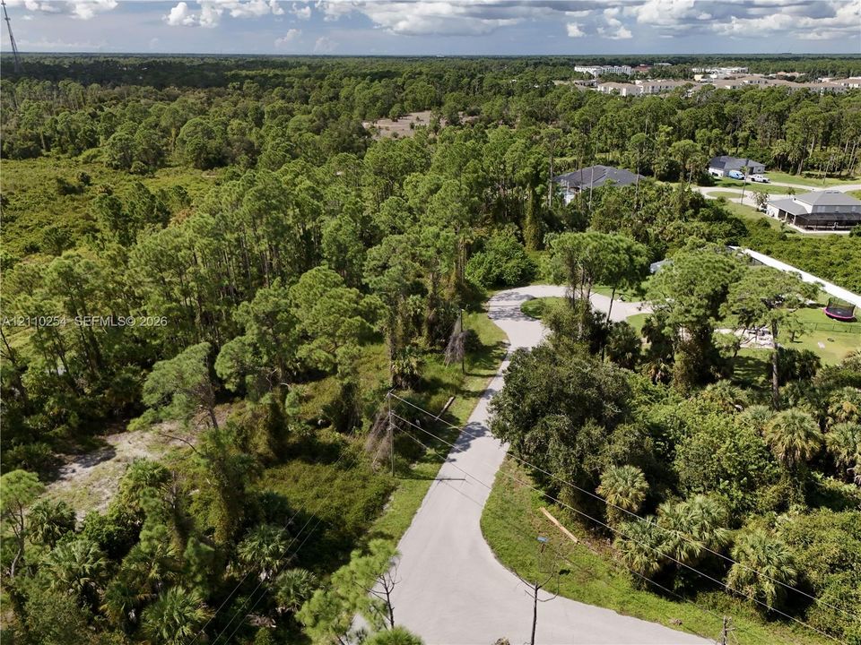Expansive parcel featuring mature pine trees, native vegetation, and established paved roadway access
