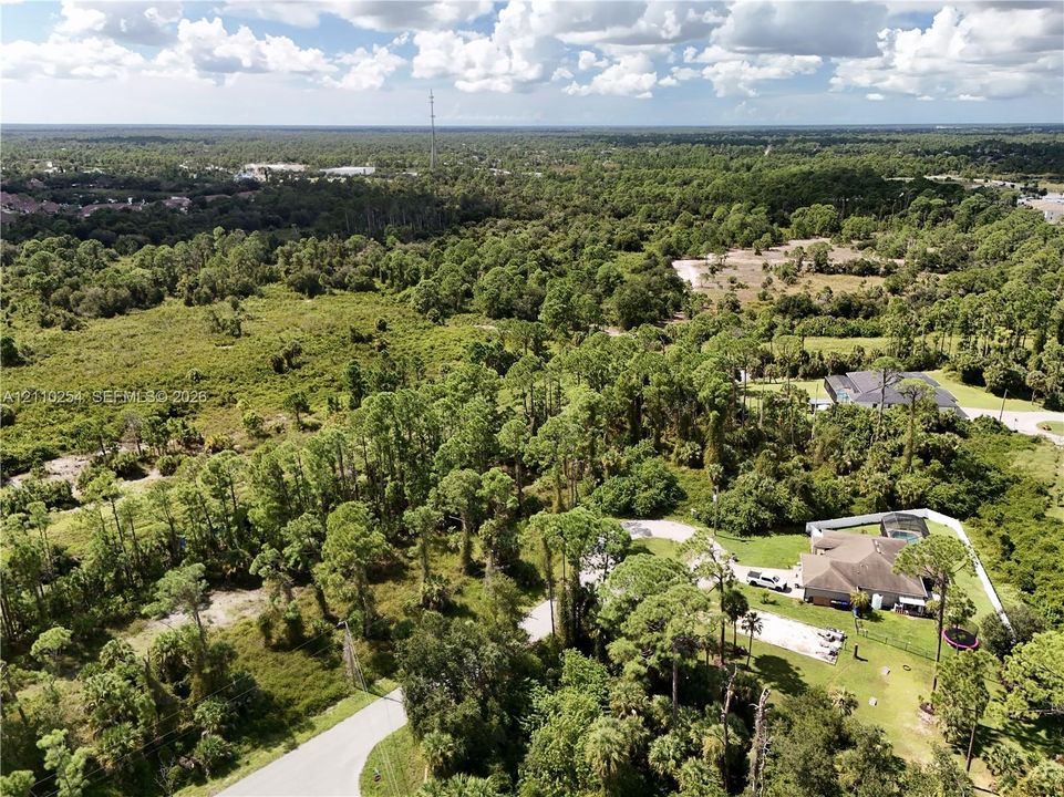 Aerial perspective featuring expansive natural acreage, mature pine trees, paved access road, and multi-pitched roof residence