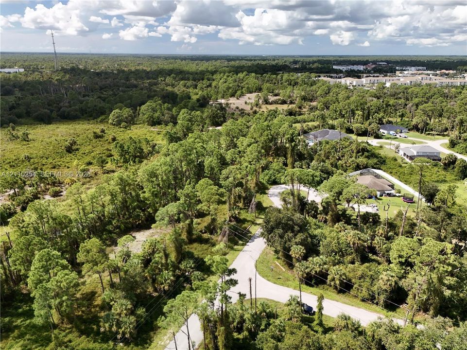 Aerial perspective of a sprawling parcel featuring dense native vegetation, mature pine trees, and paved roadway access