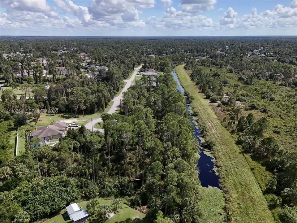 Aerial perspective showcasing expansive wooded terrain, established coniferous vegetation, and water frontage