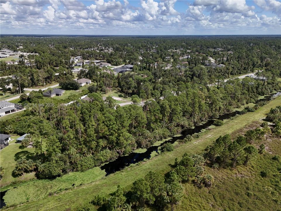 Aerial perspective featuring dense mature tree clusters, open green space, and a natural waterway