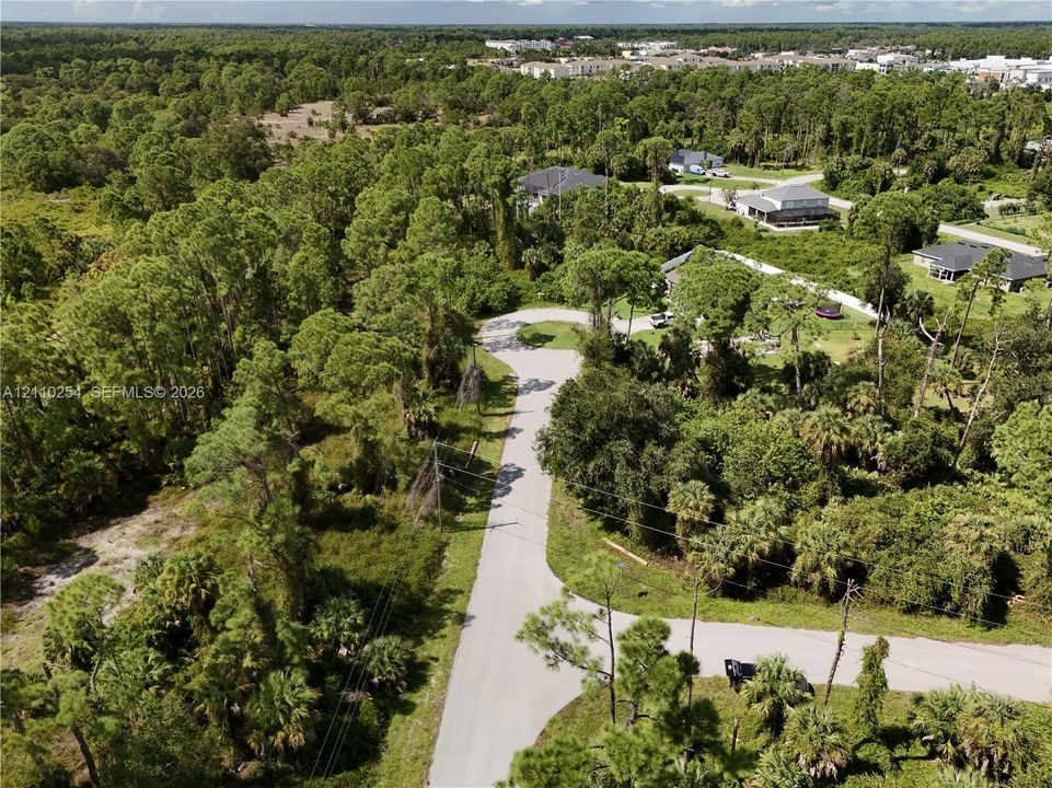 Aerial perspective of a residential street featuring dense mature vegetation, native palm trees, paved roadway, and open parcel lots