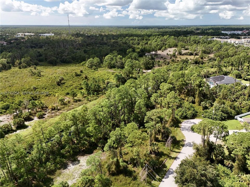 Aerial perspective featuring expansive undeveloped acreage, dense mature tree coverage, native vegetation, and established paved access road