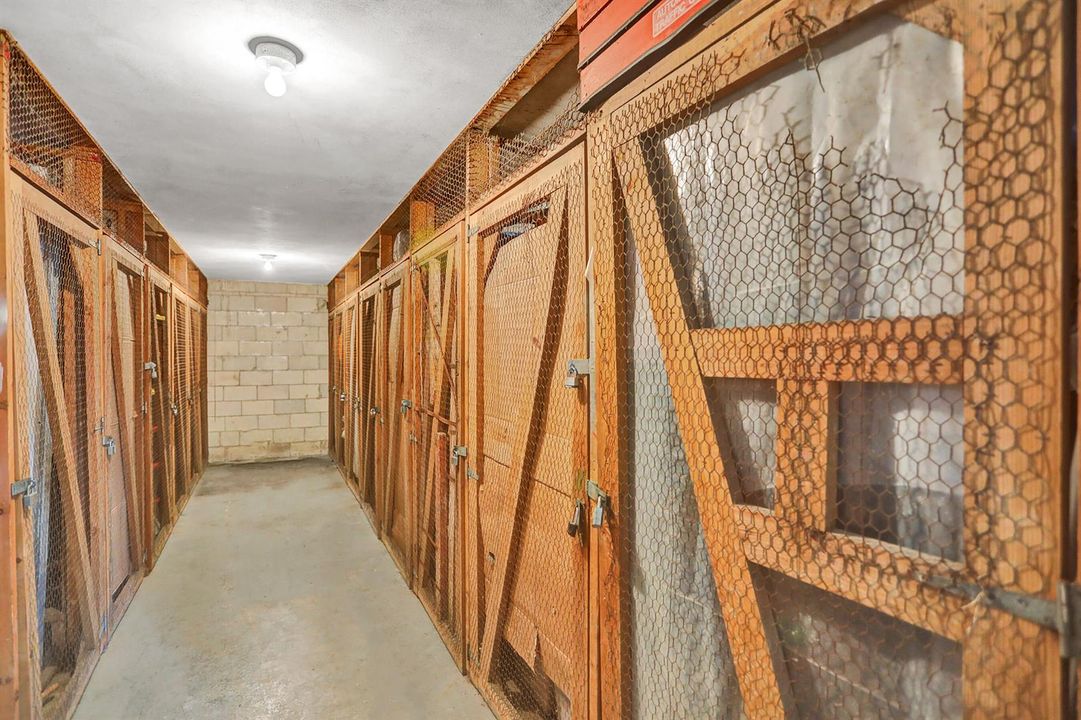 3W1A5935