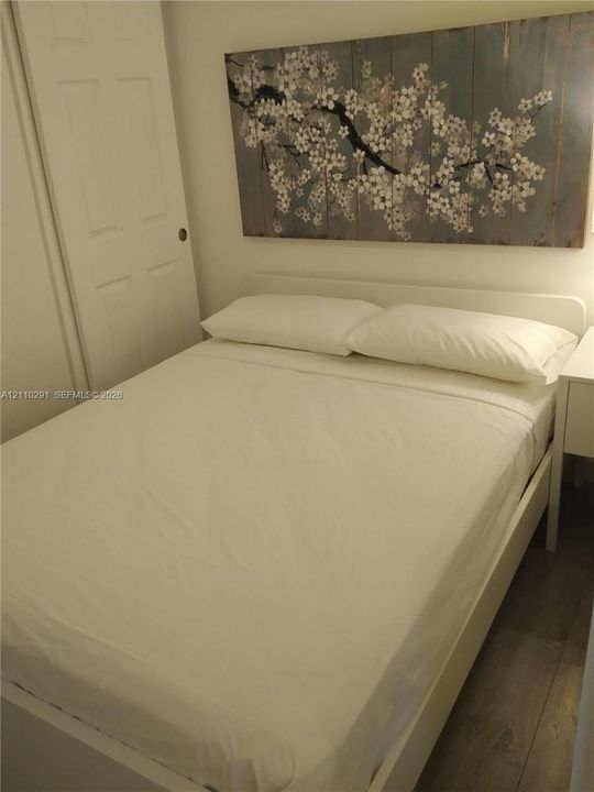 Wood-finish flooring and a closet with a white panel door