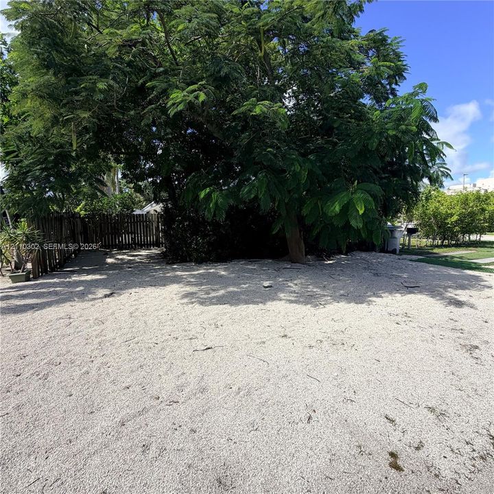 Expansive level lot featuring gravel ground cover, mature tree canopy, and a wood picket fence perimeter