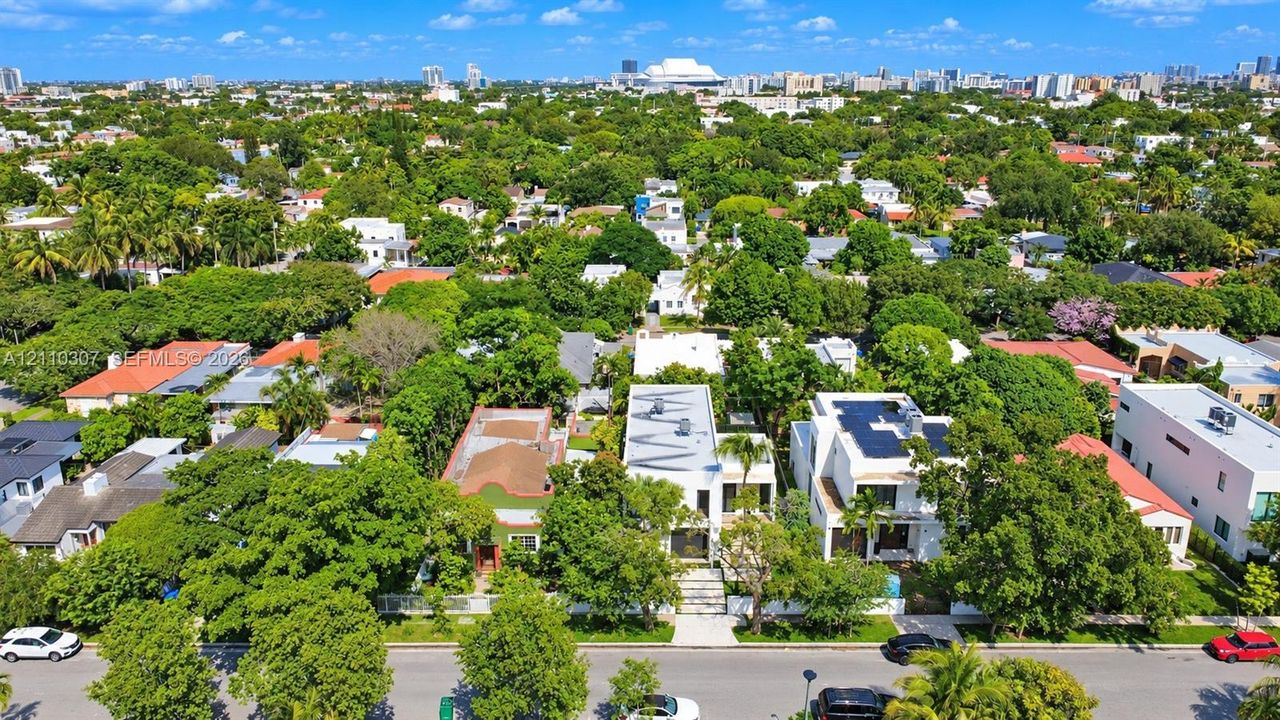 Aerial perspective featuring dense mature tree canopy, multi-level residential structures, and urban skyline backdrop