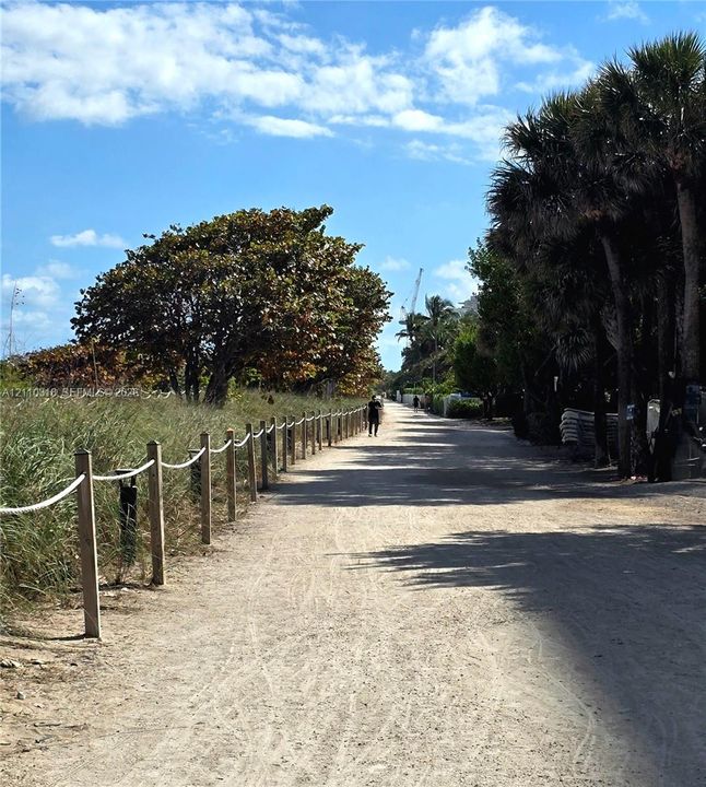 Jog, walk, Bike Path