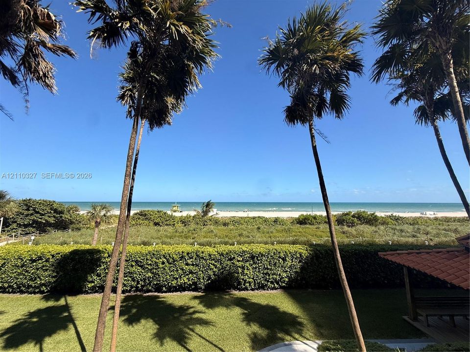 Expansive outdoor space featuring manicured lawn, mature palm trees, sculpted privacy hedging, and unobstructed ocean frontage