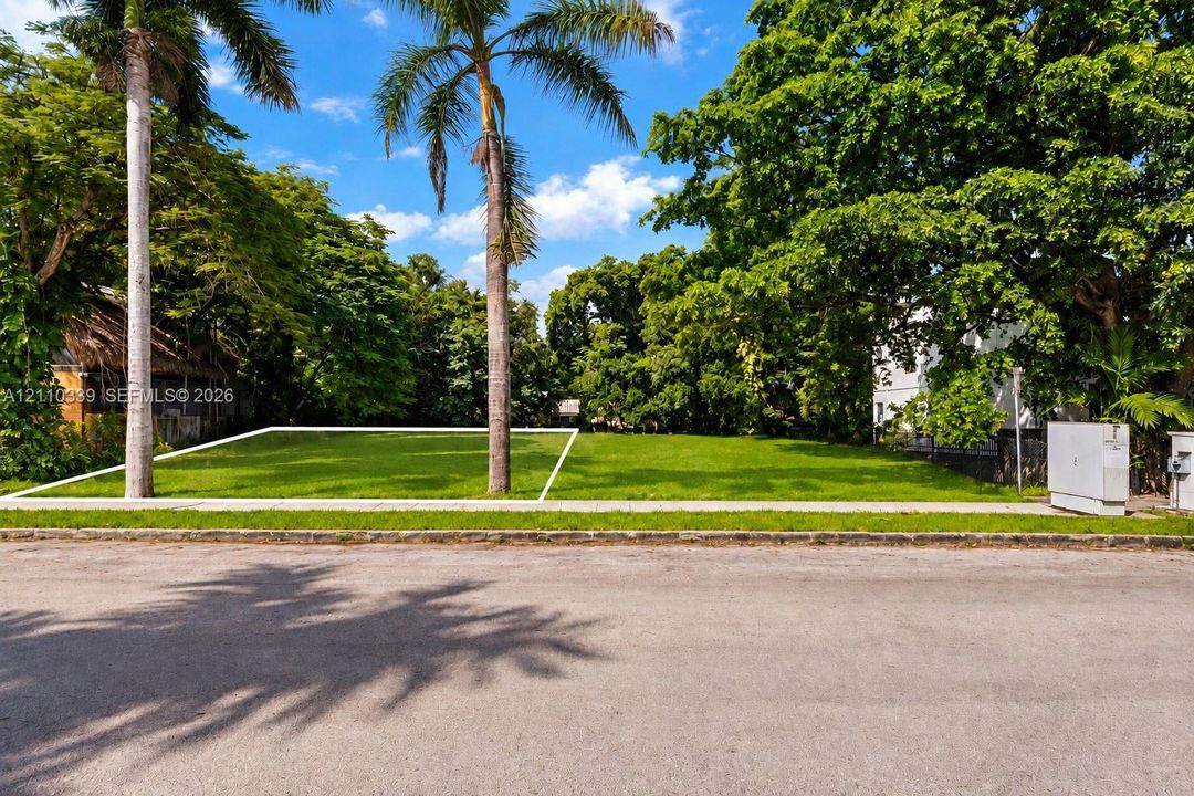 Level lot featuring grass cover, palm trees, and mature canopy trees