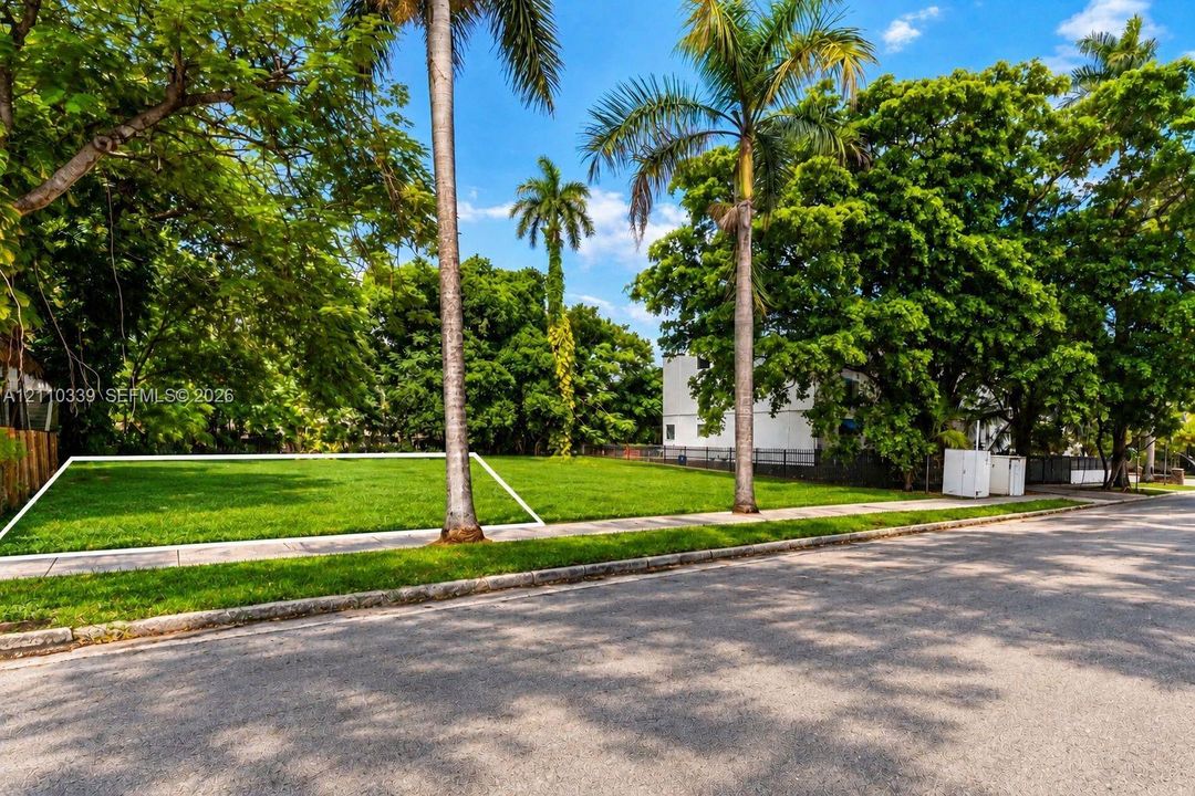 Cleared residential lot featuring manicured lawn, established palm trees, and mature shade trees