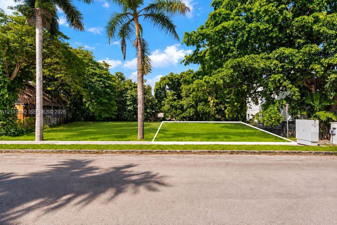 Cleared parcel featuring established palm and deciduous trees, bordered by a paved public roadway and concrete sidewalk