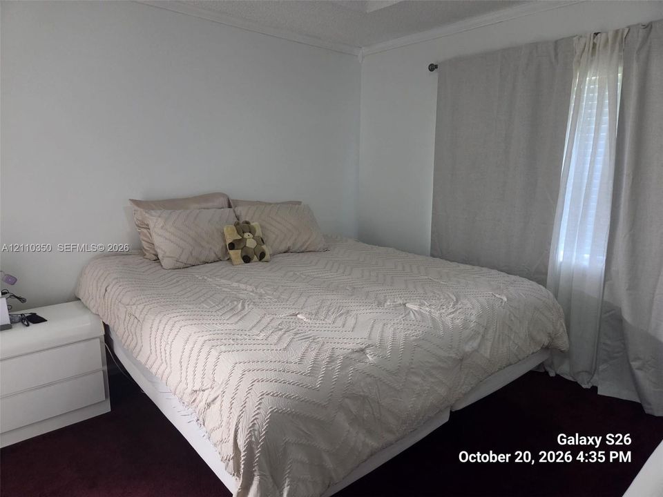 Neutral wall finishes, crown molding, and wall-to-wall carpeting