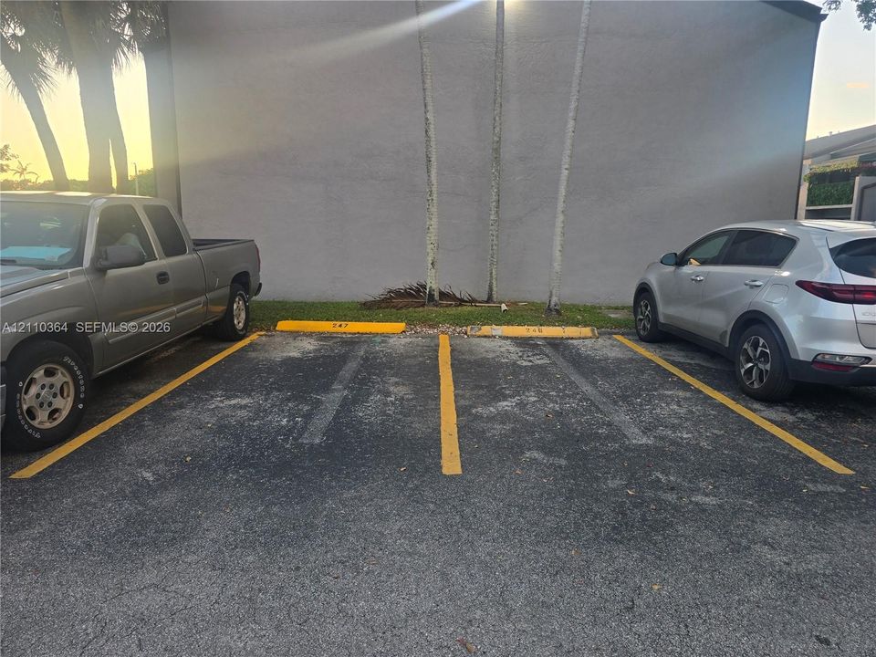 Asphalt parking area featuring two designated, yellow-painted parking spaces with numbered wheel stops
