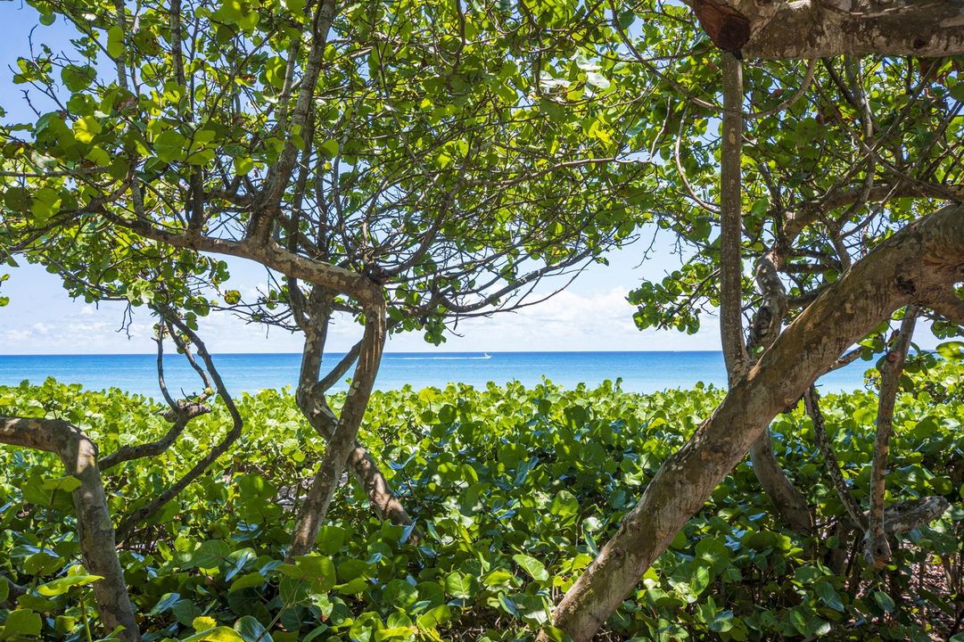 Beautiful nearby beaches