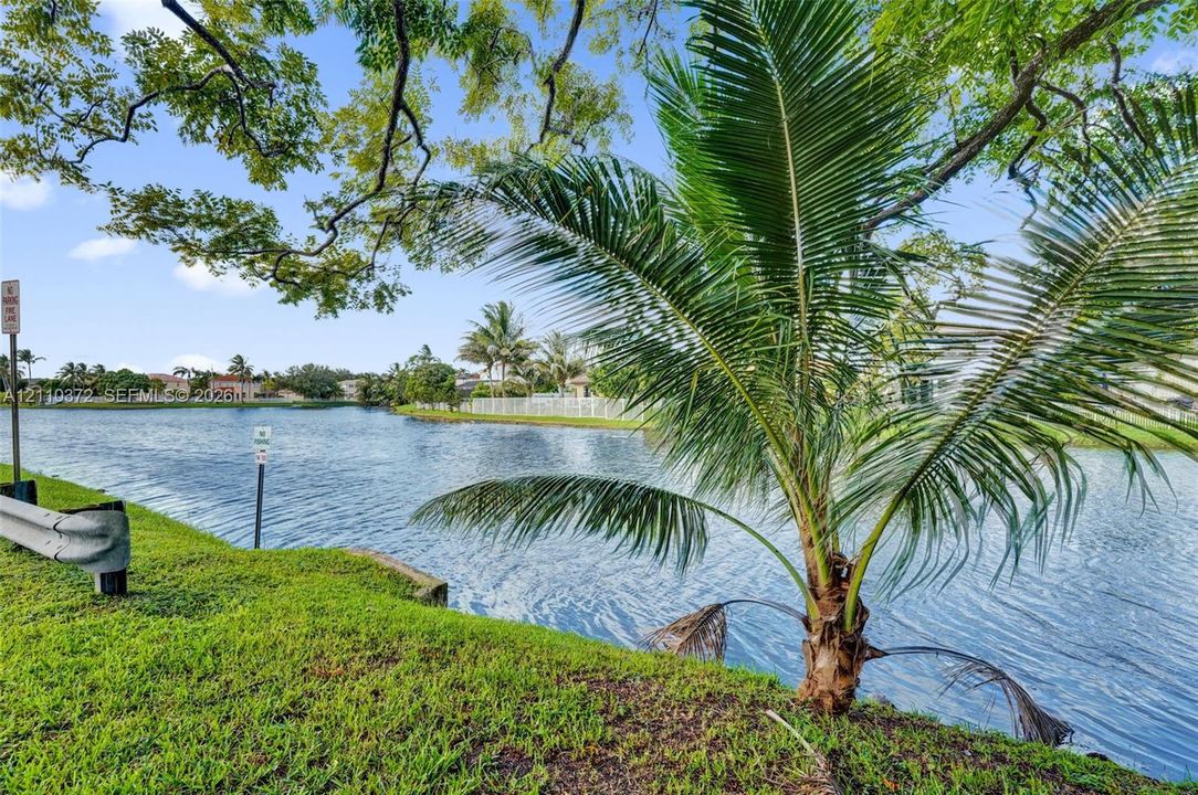 Waterfront lot featuring mature trees, manicured lawn, and palm foliage