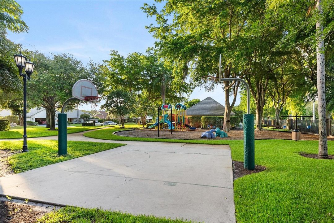 Basketball court