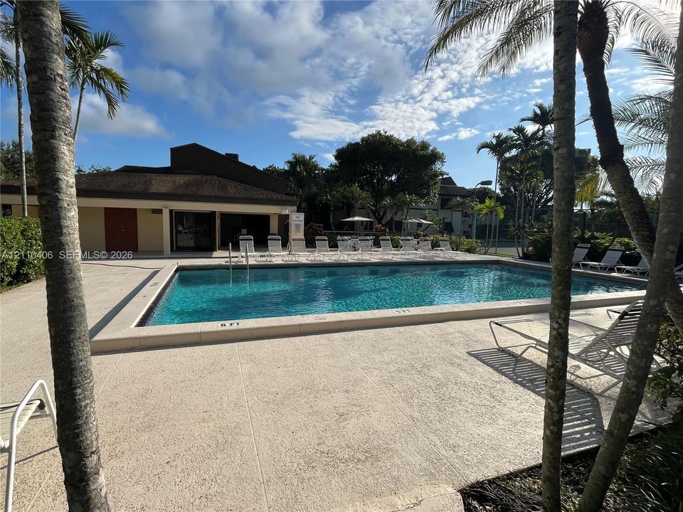 In-ground swimming pool with stone-tiled decking and mature palm trees