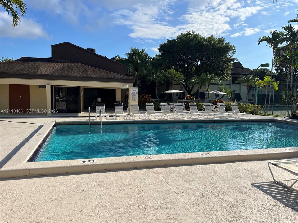 Swimming pool with a paved deck, surrounding mature palms, and a covered building structure