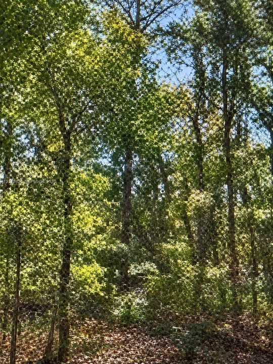 vacant lot