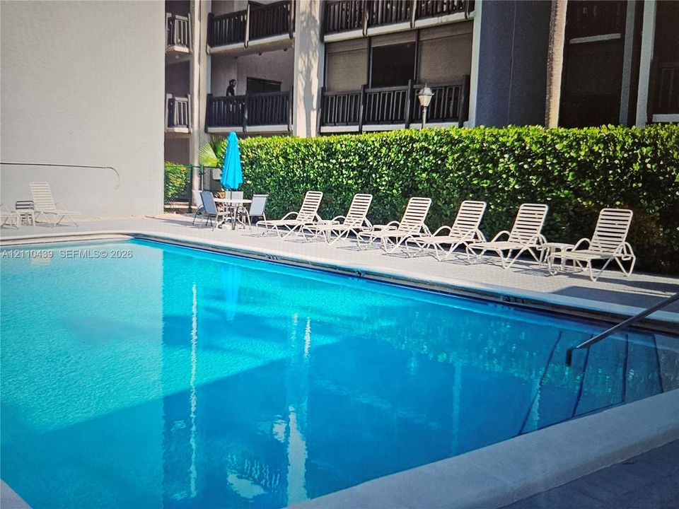 Swimming pool with concrete decking, metal handrails, and a privacy hedge