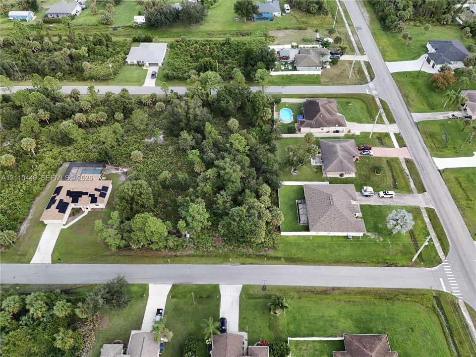 Expansive residential lot featuring mature trees, native vegetation, and a concrete driveway