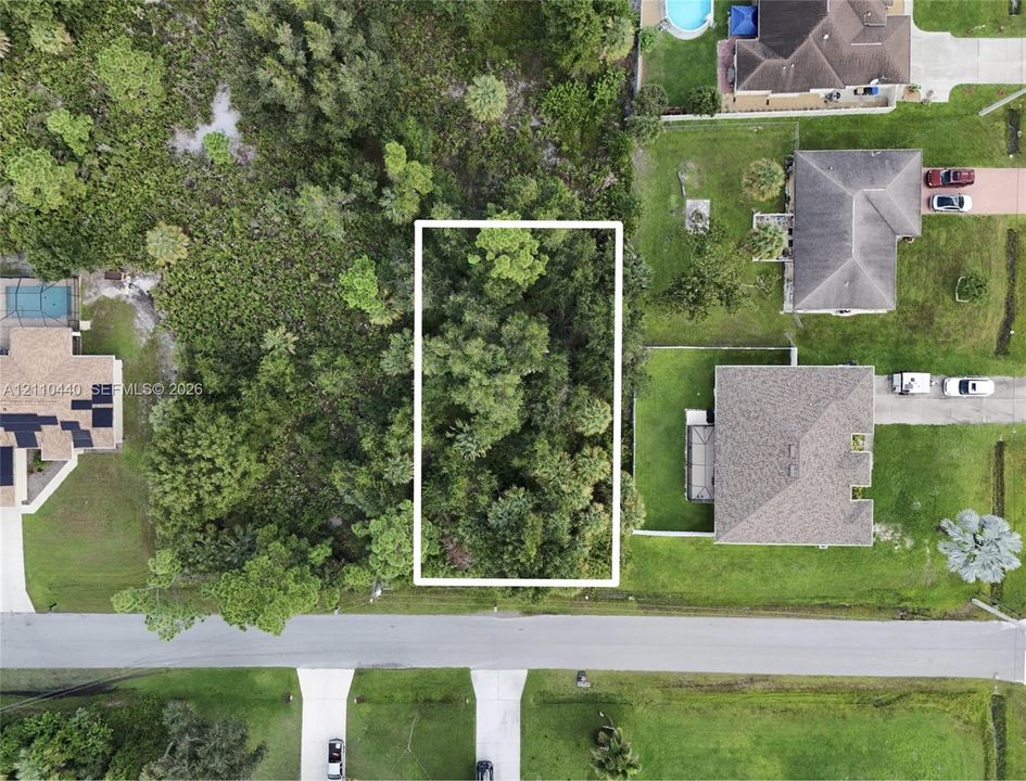 Rectangular parcel of undeveloped land featuring mature trees and established natural vegetation