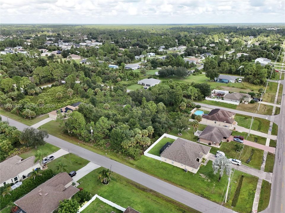 Aerial perspective of a residential neighborhood featuring established tree canopy, paved thoroughfares, and verdant landscaping