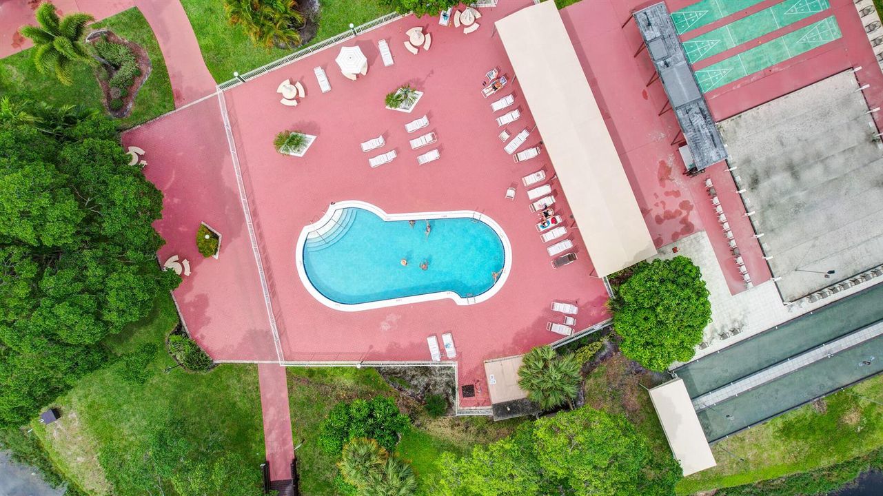 MAIN POOL