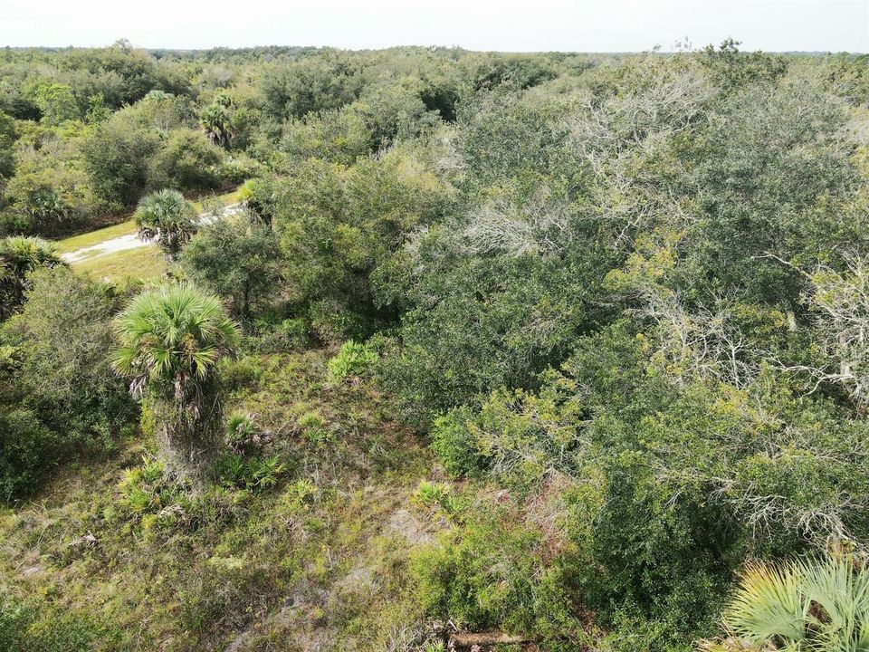 dji_fly_20261019_110652_235_179242242305