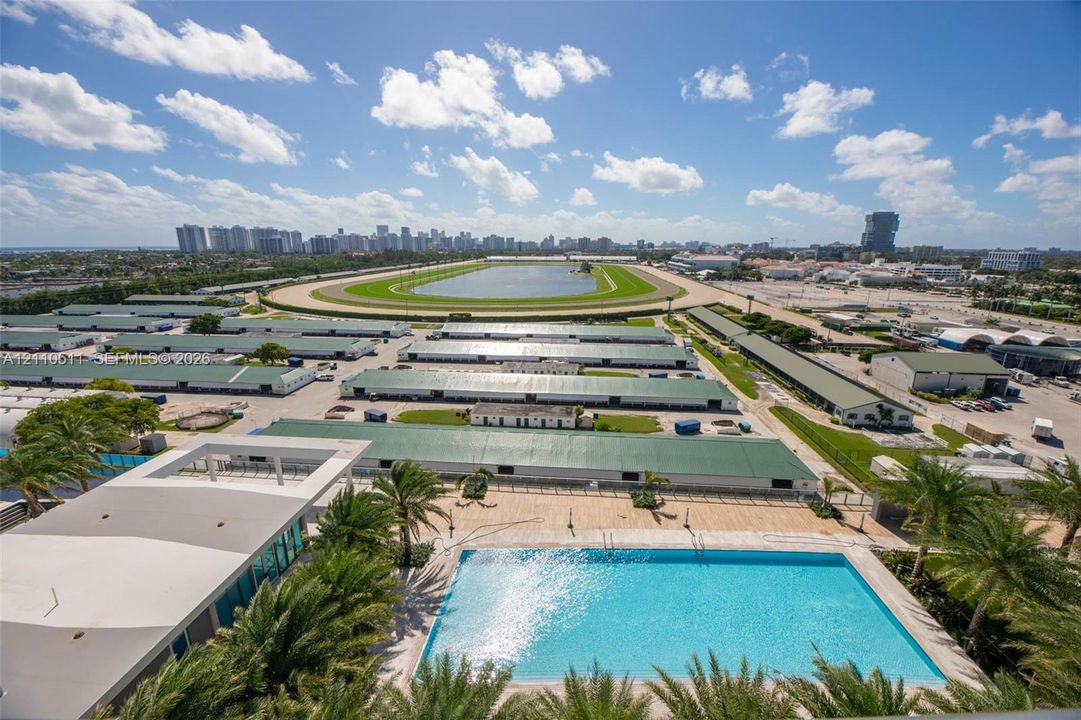 Rectangular swimming pool featuring stone-tile decking, surrounded by palm trees