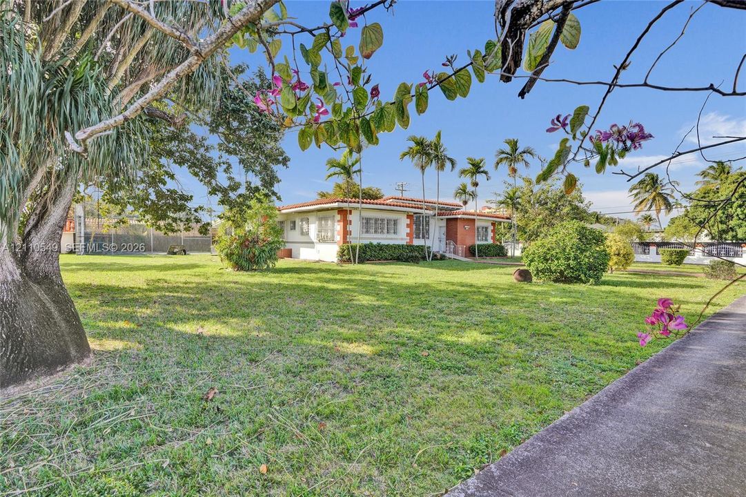 Single-story residence featuring a terracotta tile roof, masonry exterior, expansive grass lawn, and mature palm trees