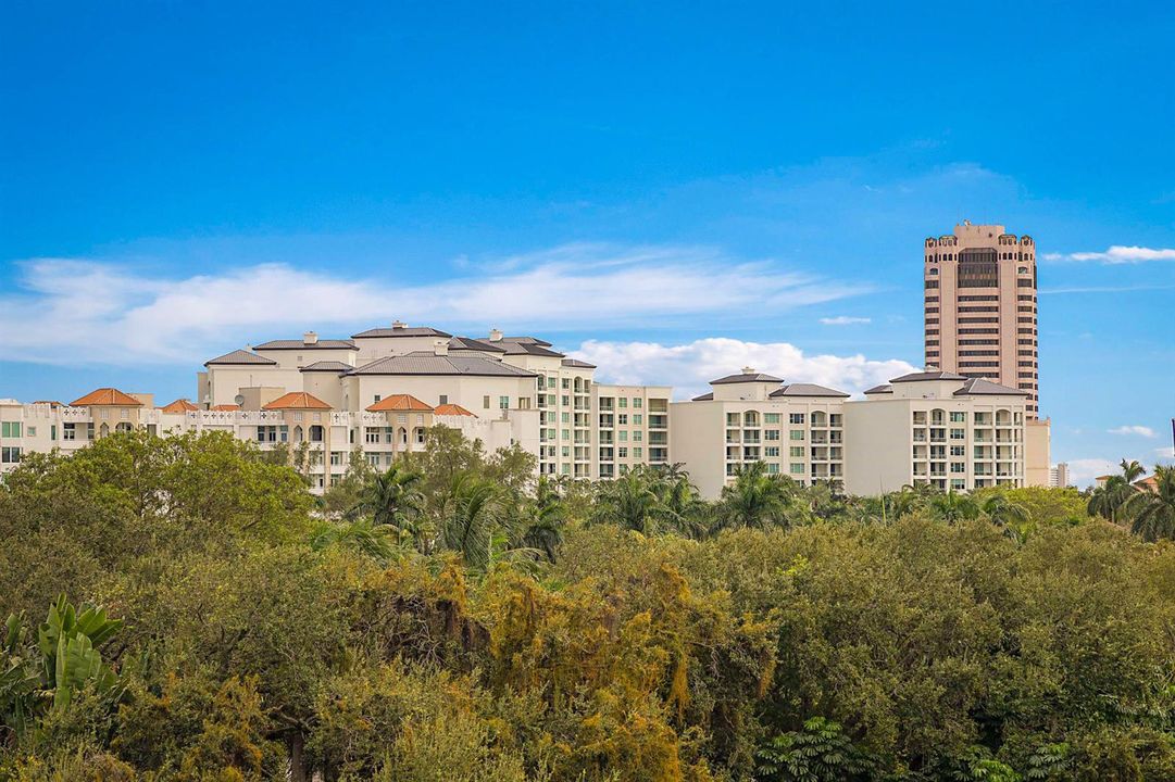MATURE LANDSCAPE AND BOCA RATON CLUB