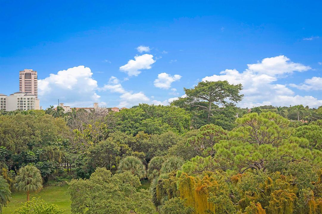 BEAUTIFUL RESORT'S LANDSCAPE