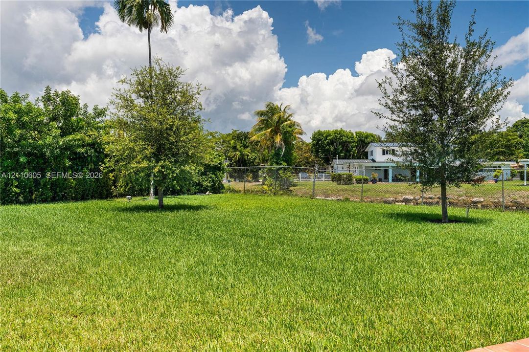 Expansive backyard featuring a manicured lawn, perimeter chain-link fencing, mature trees, and palm vegetation