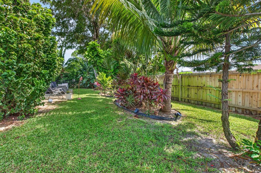 Tropical Landscaping