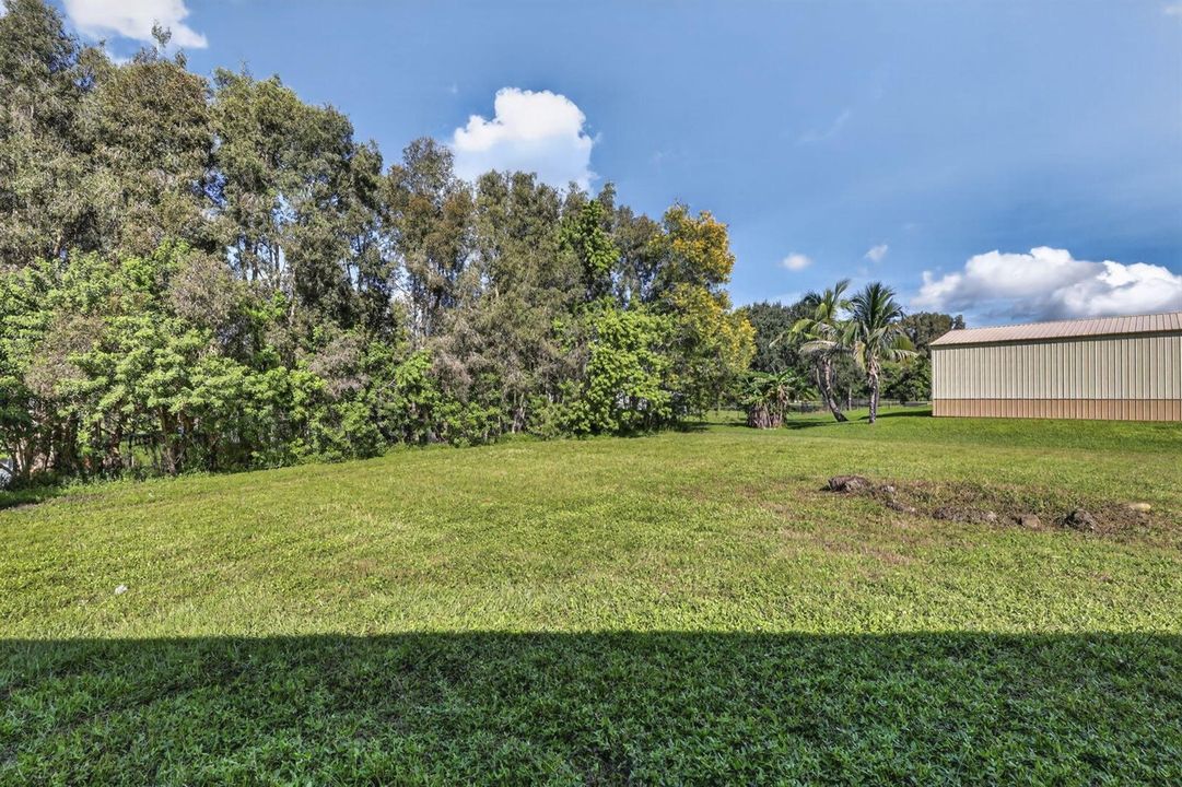 48-web-or-mls-BS1A3242