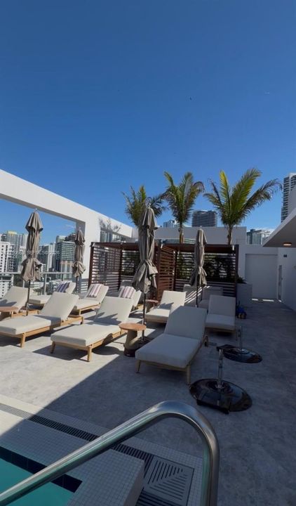 Rooftop terrace featuring concrete paving, open-air pergola structure, tiled pool edge, and integrated palm landscaping