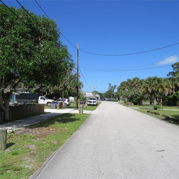 Paved street frontage featuring established trees and tropical landscaping