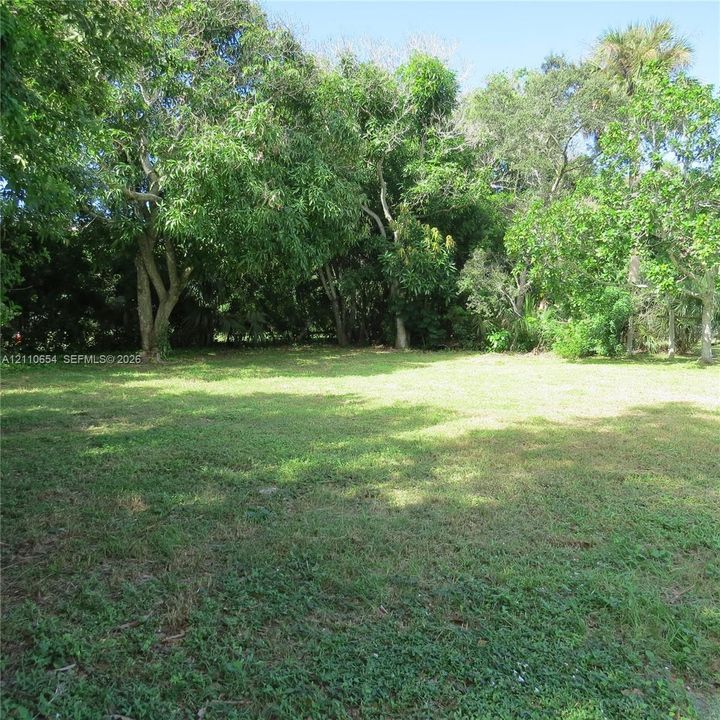 Open lot featuring expansive green space and mature tree canopy