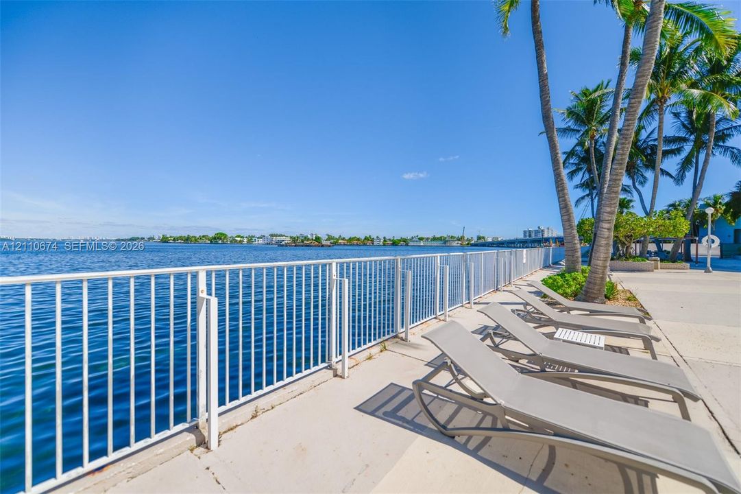 Waterfront terrace featuring a concrete deck, white metal railing, and mature palm trees