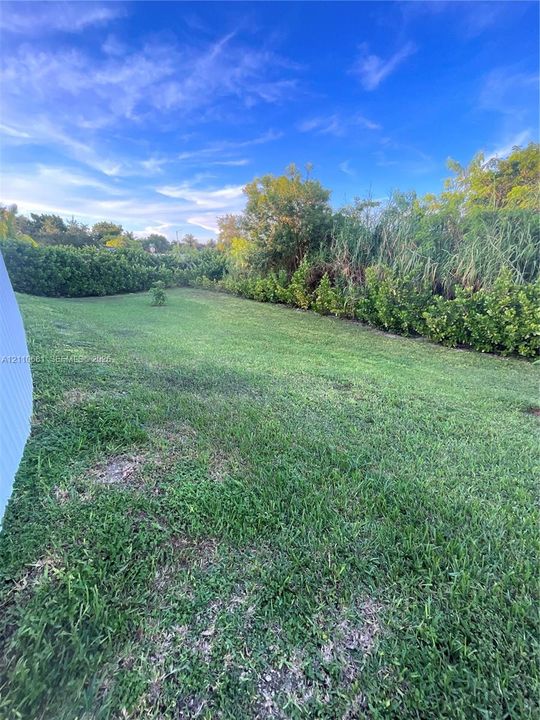 Expansive backyard featuring a grass lawn and mature hedge perimeter
