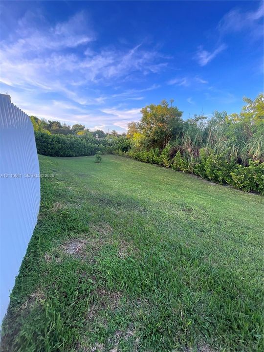Backyard featuring a grass lawn, metal privacy fencing, and dense perimeter shrubbery