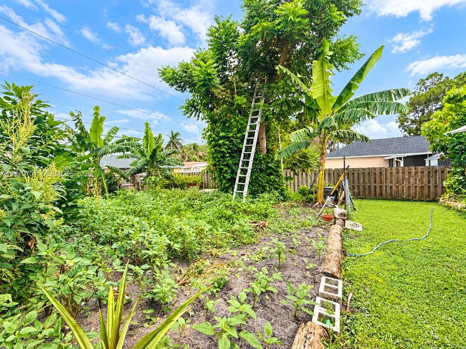 Backyard featuring a fruit trees, mature trees, and a wooden privacy fence